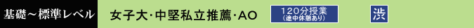 女子大・中堅私立推薦・ＡＯ 120分　設置校舎：渋谷校