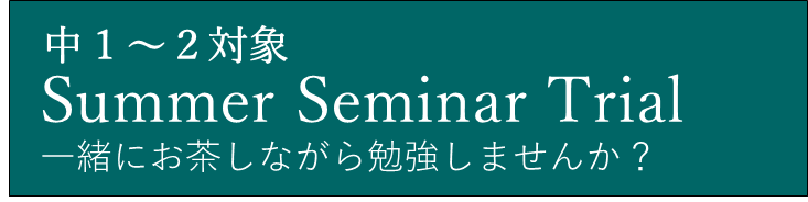 summer seminar trial