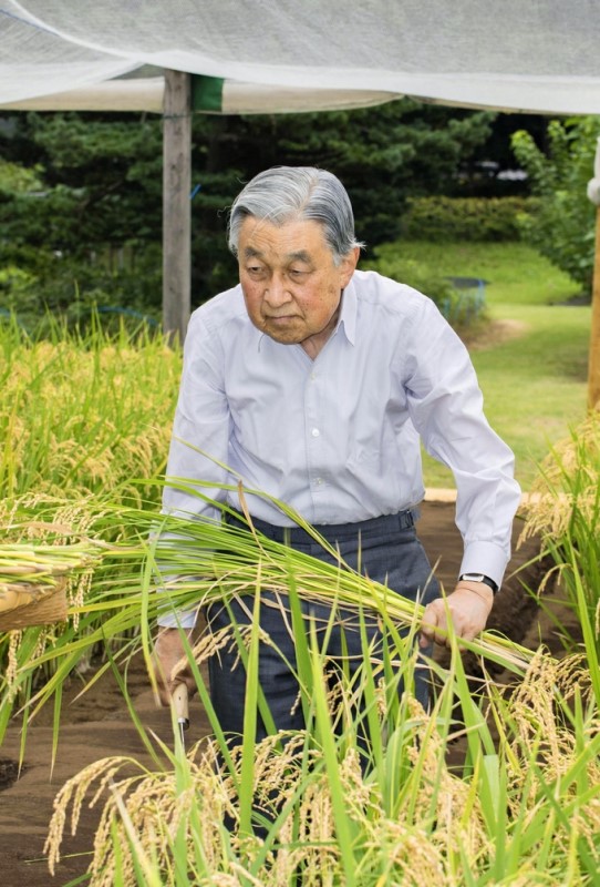 平成の天皇 収穫