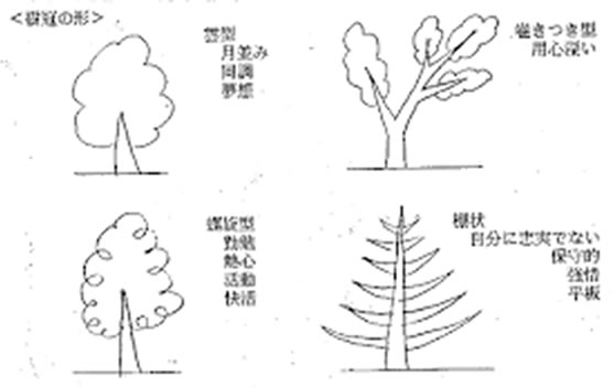 四つの樹冠