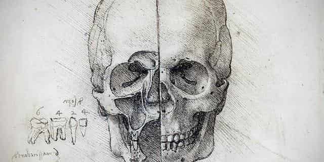 レオナルド・ダ・ヴィンチによる人体解剖図