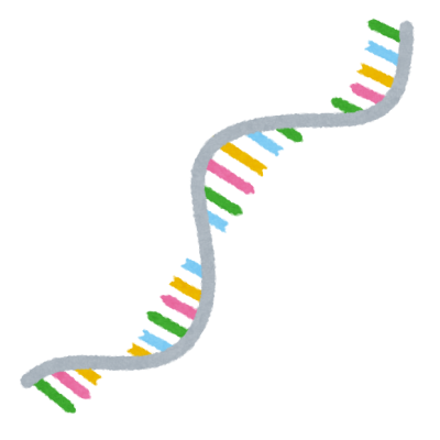 リボ核酸（RNA）のイラスト