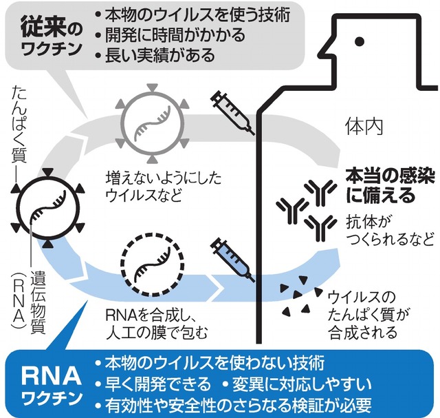 RNAワクチンと従来のワクチン