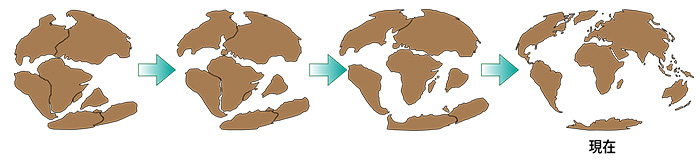 大陸の分裂過程