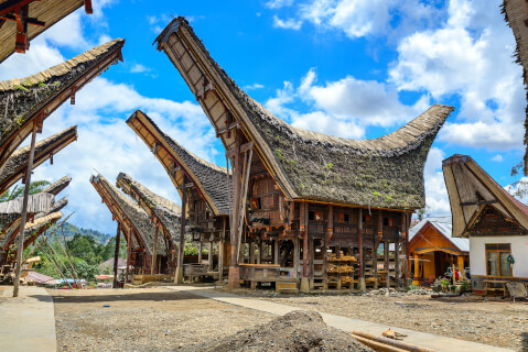 先住少数民族トラジャ族の船型家屋