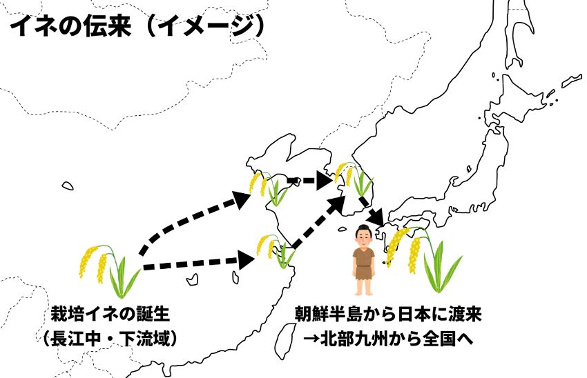 稲作の伝播