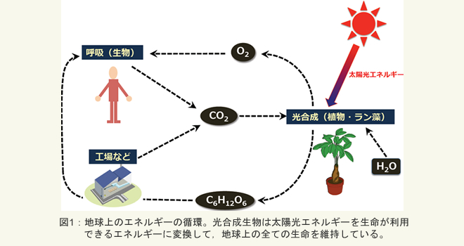 地球上のエネルギーの循環