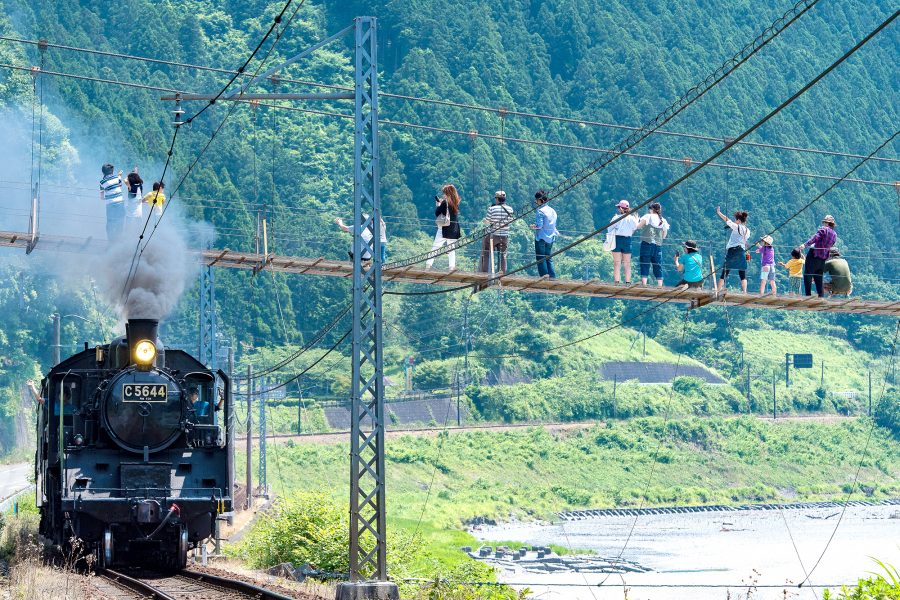 大井川沿いを走るSL