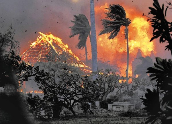 マウイ島の山火事