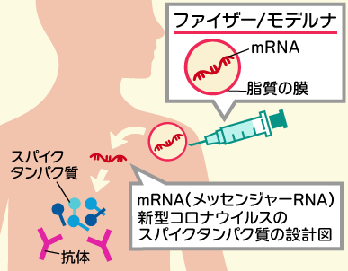 ワクチンの仕組み