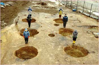 発掘された大型掘立柱建物跡