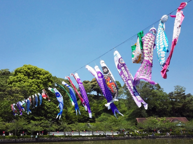 蓮華寺公園の鯉のぼり