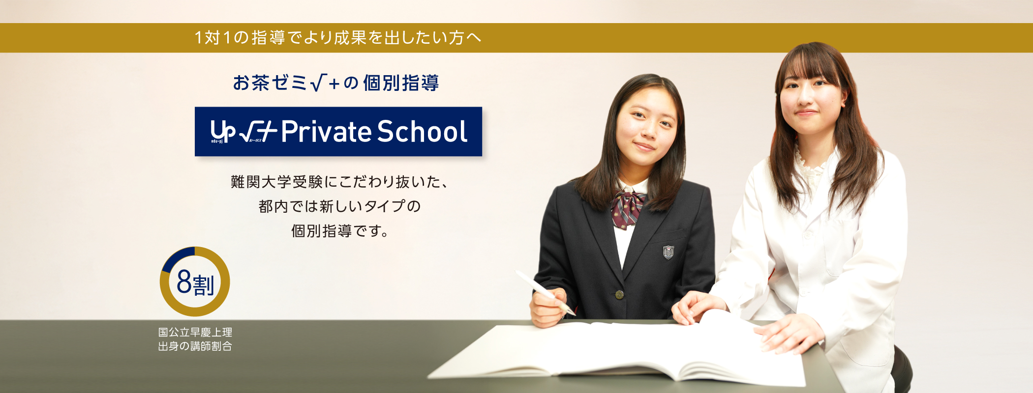 個別指導 √+Private School