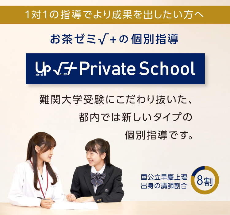 個別指導 √＋Private School