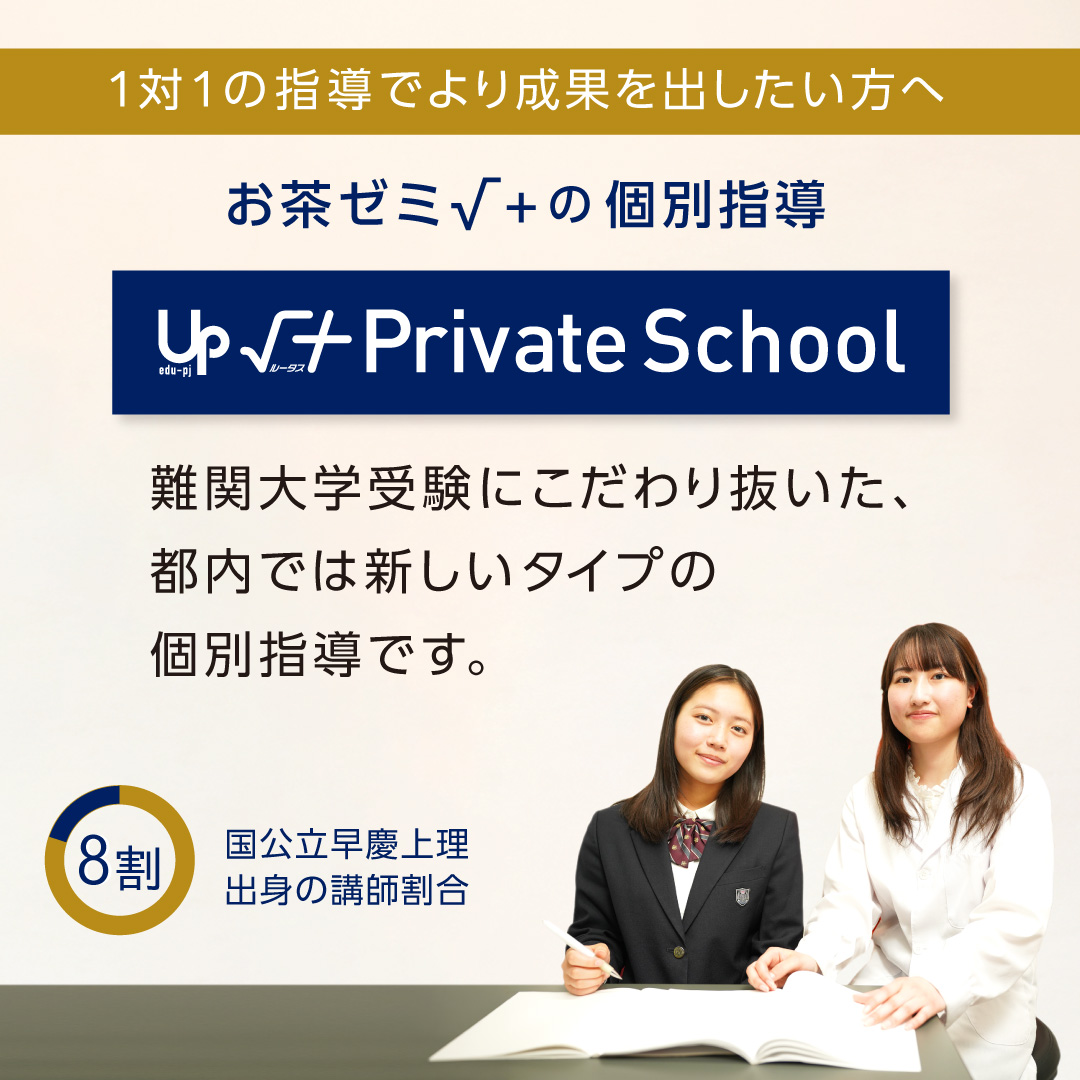 個別指導 √+Private School