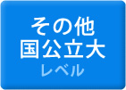 その他国公立大レベル