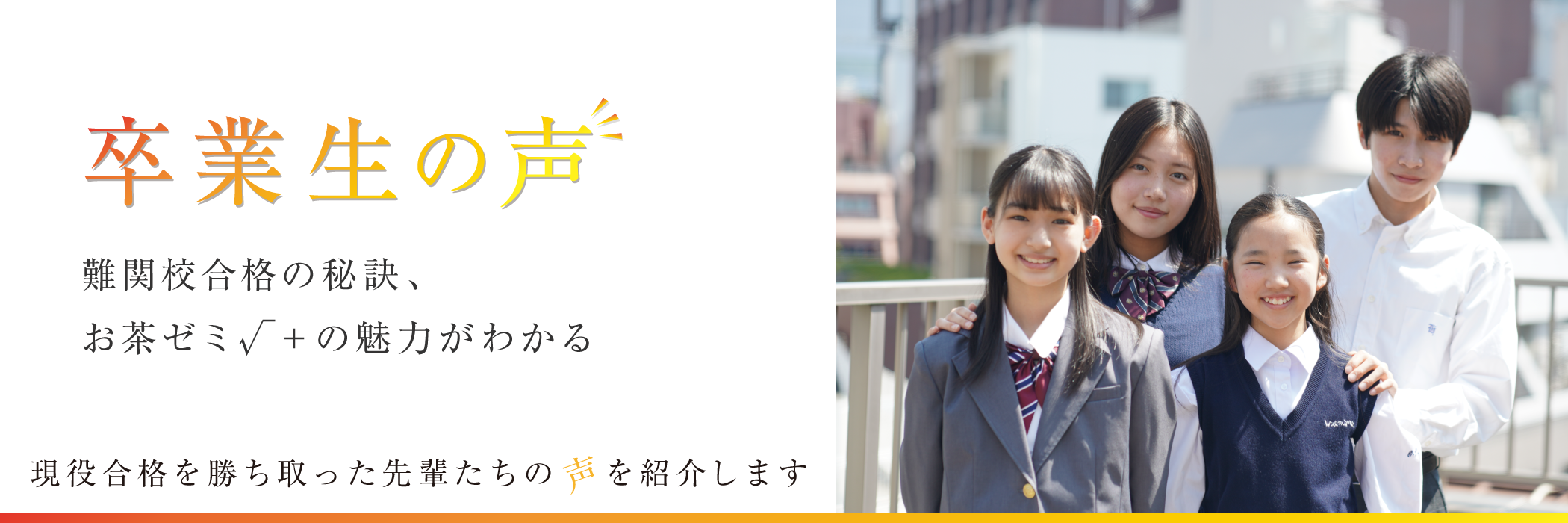 卒業生の声